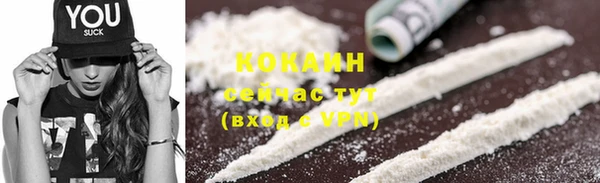 молекула духа Горно-Алтайск