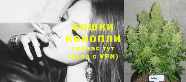 гидропоника Вяземский