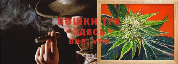 гидропоника Вяземский