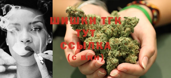 гидропоника Вяземский