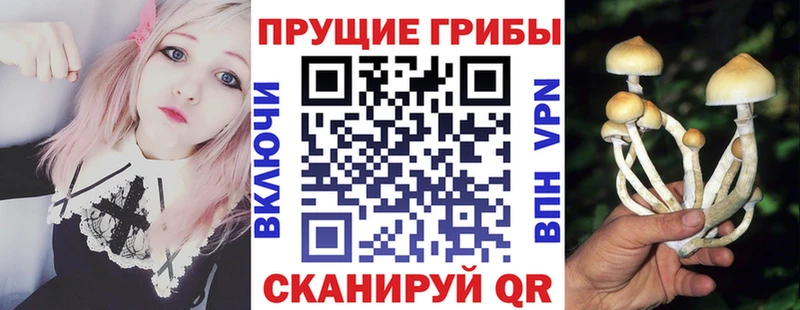 Псилоцибиновые грибы ЛСД  даркнет сайт  Зеленодольск 
